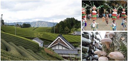 高尾田山地区イメージ