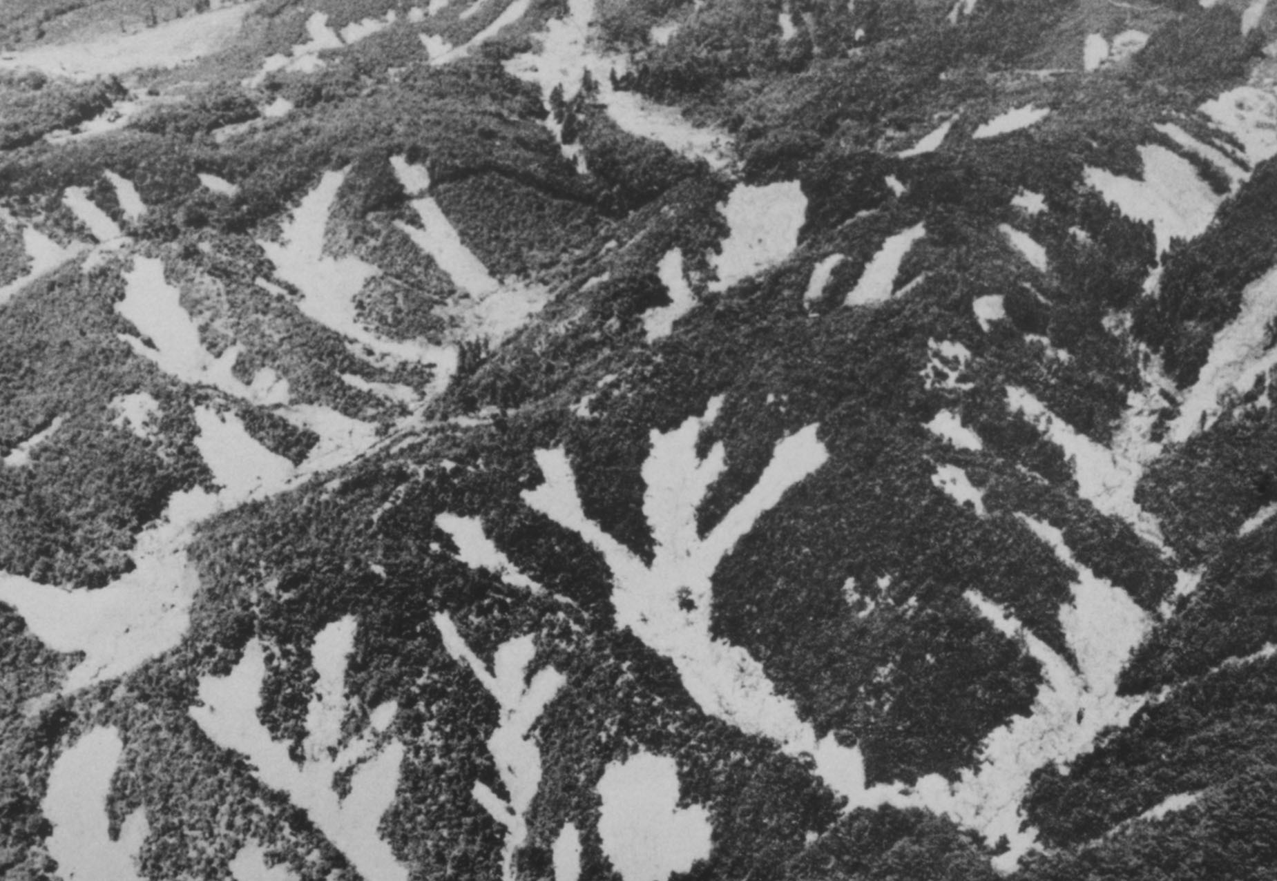 土砂災害が発生した山の様子(空撮)