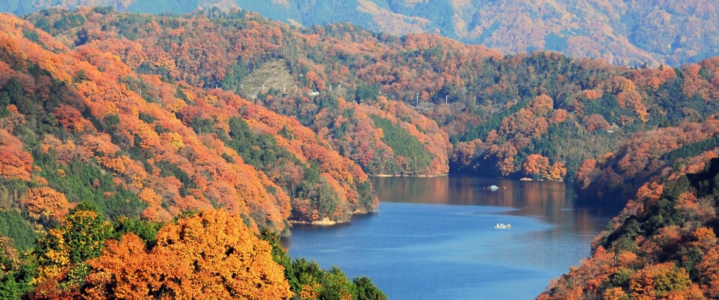 紅葉とダム湖